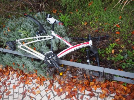 Vélo mangé par les plantes