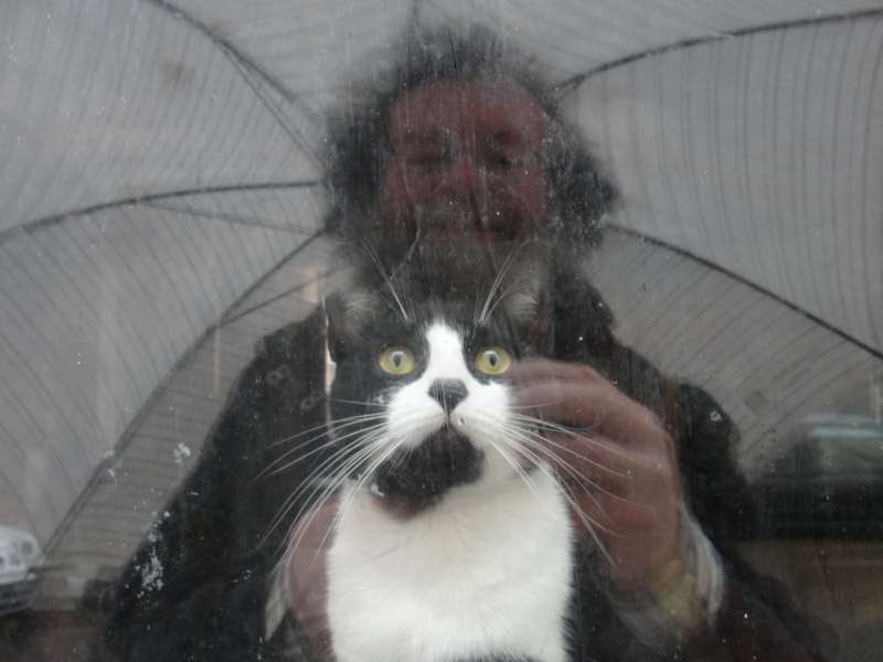 autoportrait-2012-6243